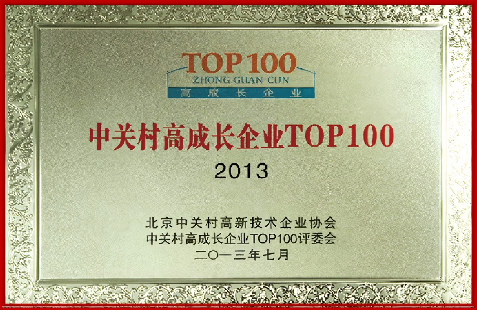中关村高成长企业 TOP100（2013）